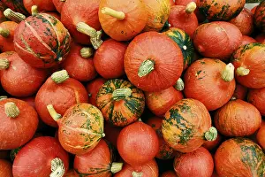 Pumpkin Nutrition Impressions: Pumpkins