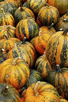 Vegetable Nutrition Facts Impressions: Pumpkins