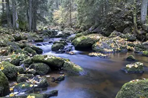 Autumn Leaves In Austria Impressions: A quiet stream flows through the forest