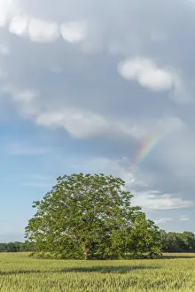 Cloudy Sky With Rainbow Impressions: Rainbow appears in rain clouds in spring