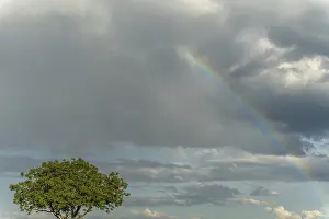 Prismatic Colors In The Sky Impressions: Rainbow appears in rain clouds in spring