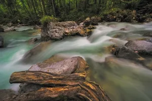 Mountain Torrent Photography Impressions: Ramsauer Ache in the Magic Forest