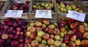 Southern Germany Produce Impressions: Range of different types of apples