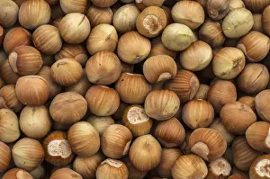 Agricultural Background Impressions: Raw hazelnuts with shell closeup as background