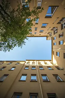 Low Angle View Architecture Impressions: Rectangular backyard, surrounded by yellow walls