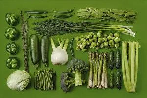 Green Background Still Life Impressions: Rectangular composition with various green vegetables on green background