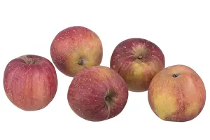 Full Length Apple Cutout Impressions: Red apple Red Eiserapfel