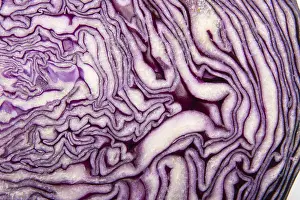 Red Cabbage Impressions: Red cabbage