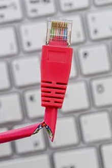 Digital Data Transmission Impressions: A red network cable of a computer