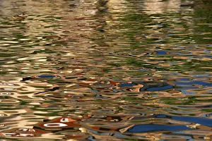 Reflective Water Surface Impressions: Reflection in the water surface