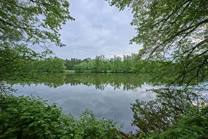 River Landscape Impressions: River landscape, reflection, tree