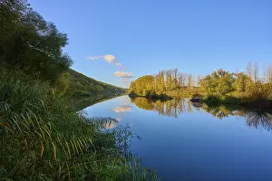 River Main Germany Impressions: River, Main, Trees, Reflection