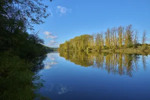 River Main Germany Impressions: River, Main, Trees, Reflection