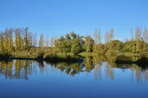 Bavaria Waterfront Scene Impressions: River, Main, Trees, Reflection