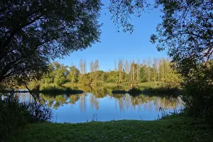 River Main Germany Impressions: River, Main, Trees, Reflection
