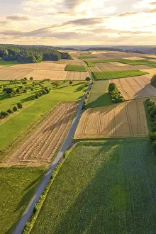 Evening Farmland Landscape Impressions: Road surrounded by fields at sunset