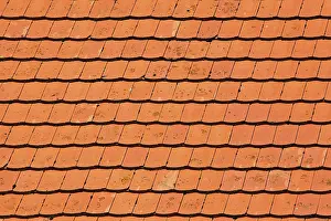 Red Roof Tiles Impressions: Rooftiles