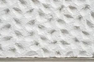 Ornate Building Structure Impressions: Roughly patterned plastered wall in detail