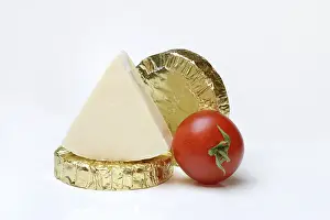 Processed Cheese Impressions: Round and triangular processed cheese with tomato