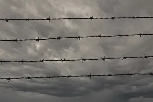 Rainy Weather Forecast Impressions: Four rows of barbed wire