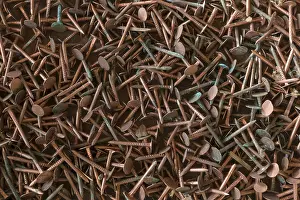 Rusty Metal Impressions: Rusty copper nails