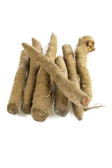 Empty Studio Backgrounds Impressions: Salsify