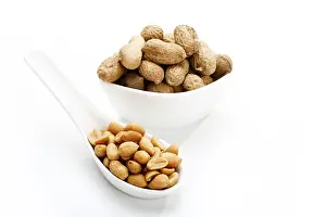 Botany Plant Life Impressions: Salted peanuts and peanuts in shell