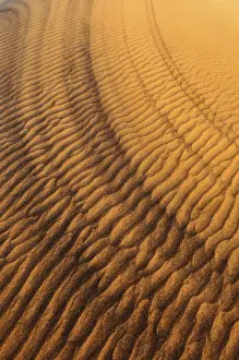 Sand Dune Patterns Impressions: Sand patterns on the surface of a dune