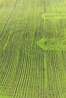 Rural Agricultural Landscape Impressions: Saw field with patterns in spring