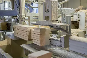 Deserted Sawmill Scene Impressions: At sawmill. Image of profiled bar during processing