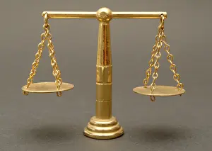 Equal Rights Image Impressions: Scale