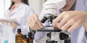 Scientist At Work Impressions: A scientist performs a microbial analysis using a microscope in a laboratory setting