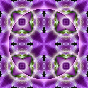Full Frame Background Image Impressions: Seamless pattern