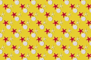Deserted Beach Wallpaper Impressions: Seashells on yellow background, seamless pattern