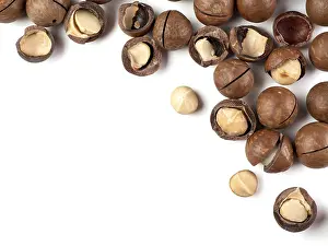 Top View Photography Impressions: Set of macadamia nuts on white background