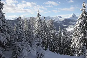 South Tyrol Landscape Impressions: Shadow - Light