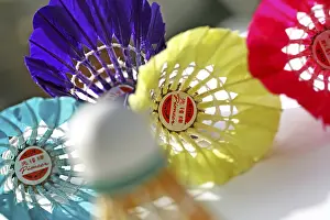 Colorful Bird Feathers Impressions: Shuttlecocks made in China