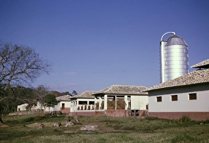 Historic Farm Buildings Impressions: Silos barns stables calves grazing