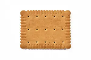 Studio Shot Dessert Impressions: Single rectangular biscuit isolated on white background