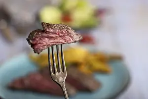 Empty Plate Steak Impressions: Slice of steak on a fork