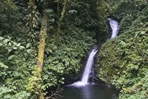 Tropical Waterfall Scene Impressions: Small waterfall in the cloud forest