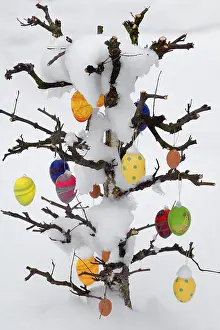 Easter Egg Celebration Impressions: Snow covered Easter tree with eggs