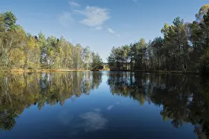 Water Reflections In Europe Impressions: The source of the Neckar River