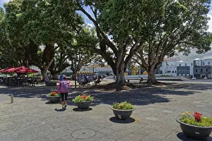 Azores Travel Photography Impressions: A spacious square with large trees