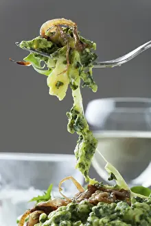 Food Photography Fork Impressions: Spinach spaetzle on a fork