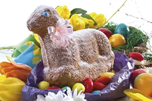 Easter Lamb Cake Impressions: Sponge cake in the shape of an Easter lamb