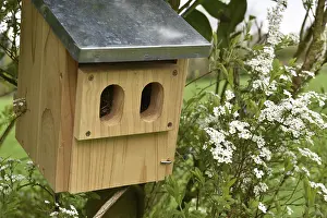 Ecofriendly Nesting Aid Impressions: Spring nesting box, Germany