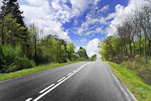 Deciduous Tree Landscape Impressions: Spring road