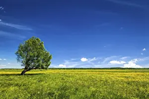 Spring Background Impressions: Spring summer background