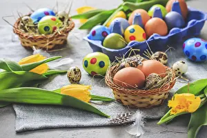 Traditional Easter Decoration Impressions: Spring time - Easter eggs and tulips on grey background